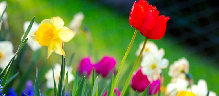 How many dazzling seasons make up our yearly cycle?